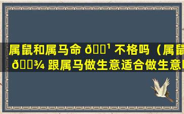 属鼠和属马命 🌹 不格吗（属鼠 🌾 跟属马做生意适合做生意吗）